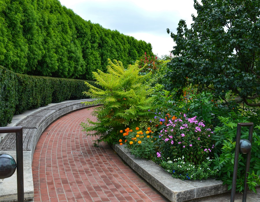 Moderne tuin met trap, siergrassen en border
