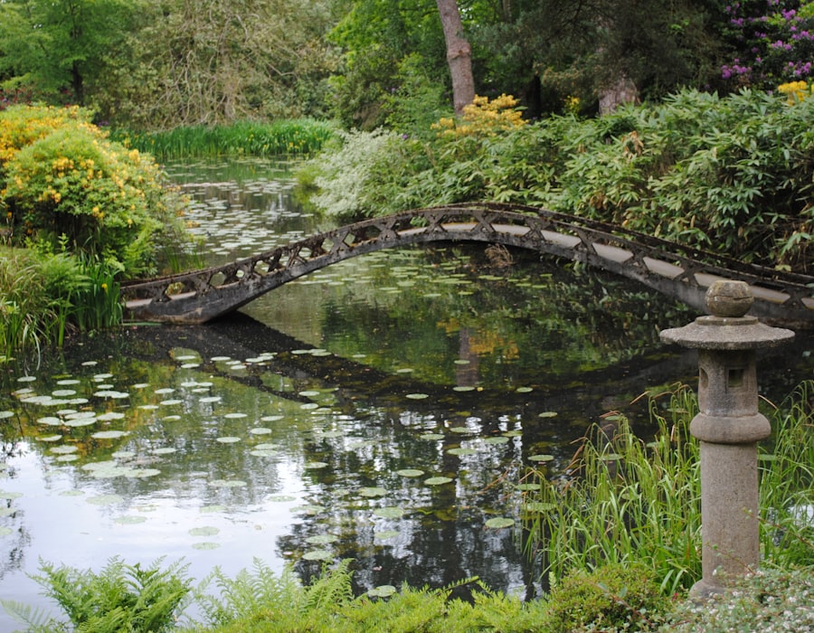 Bruggetje over een vijver met waterlelies