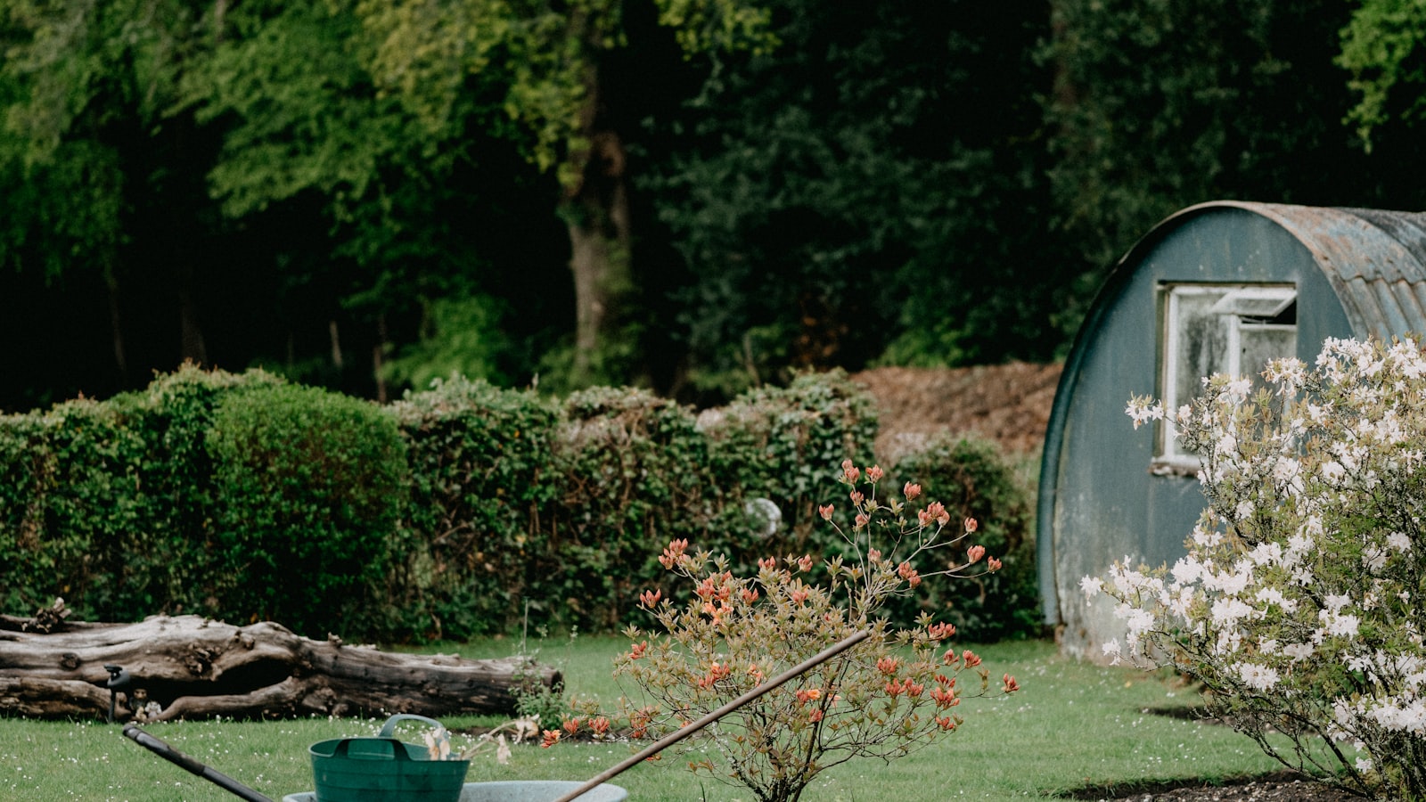 Overzicht van hoveniersdiensten in een verzorgde tuin