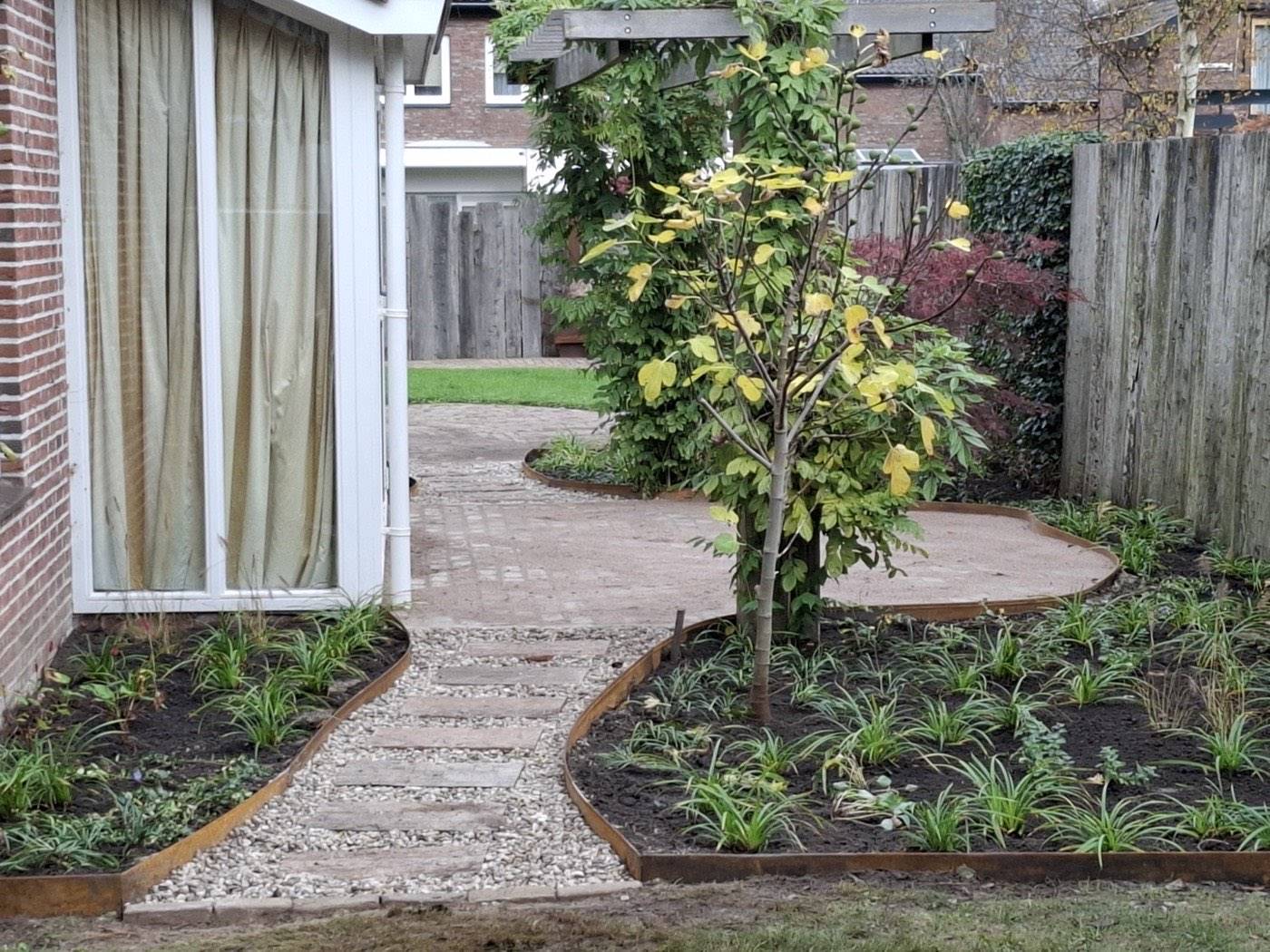 Tuinpad langs een rode esdoorn in een aangelegde tuin