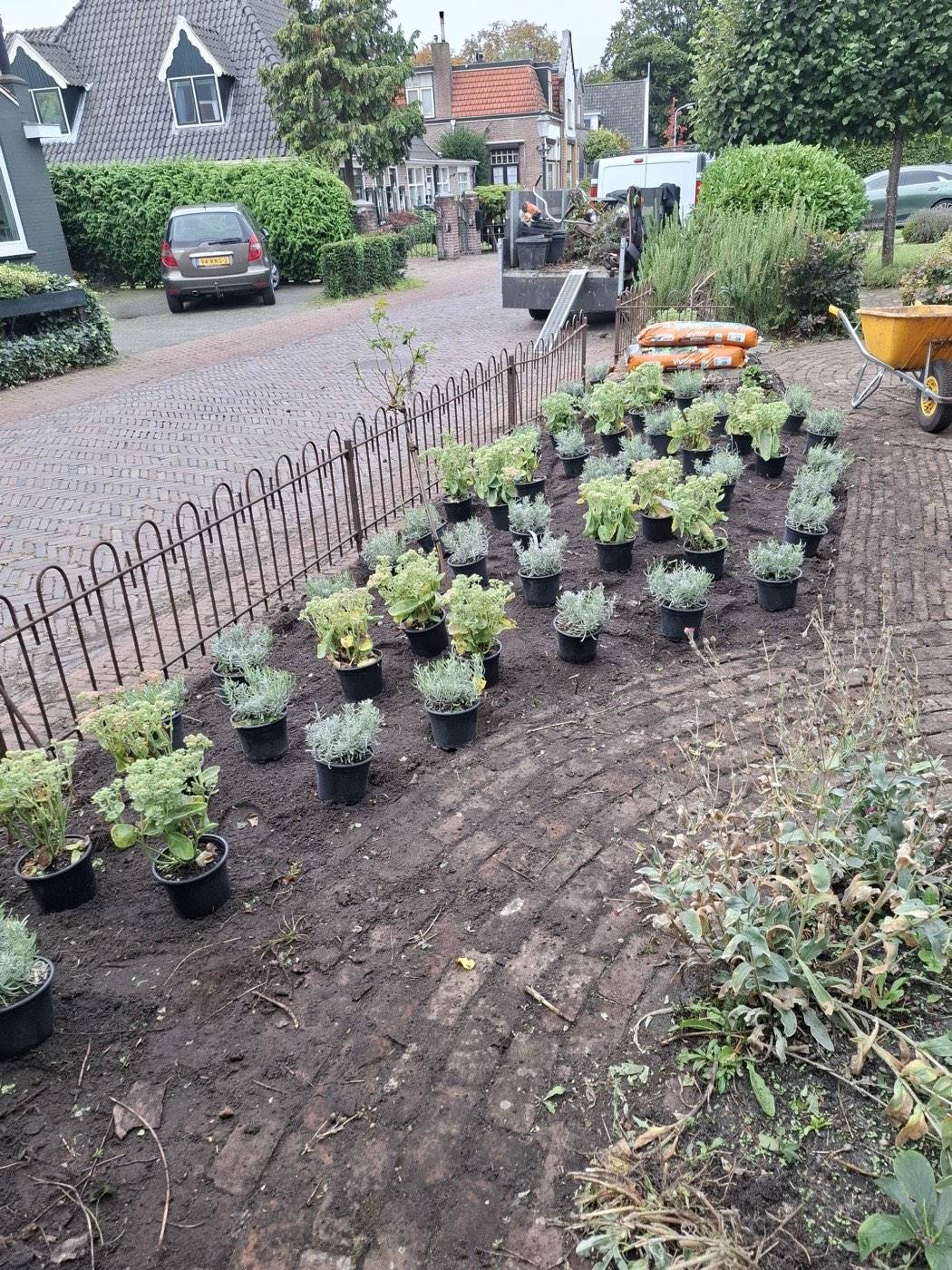Levering van nieuwe planten voor een tuinaanleg