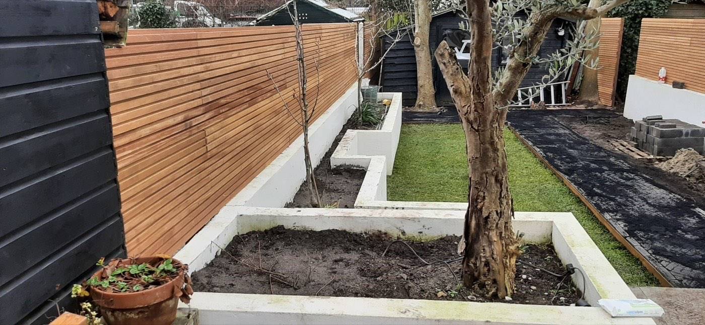 Aangelegde tuin met witte borders en strak gazon